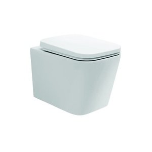 Parryware Wall Hung Basin Capsule Wh Basin