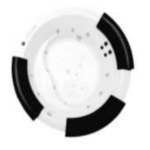 American Standard Idyll Shower With Arm